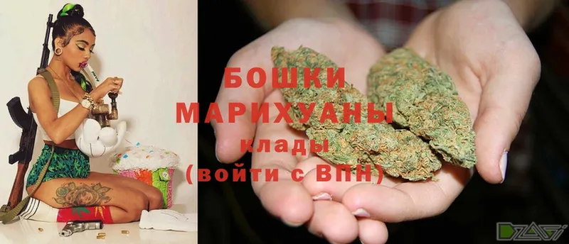 где можно купить   Нестеровская  МАРИХУАНА THC 21% 